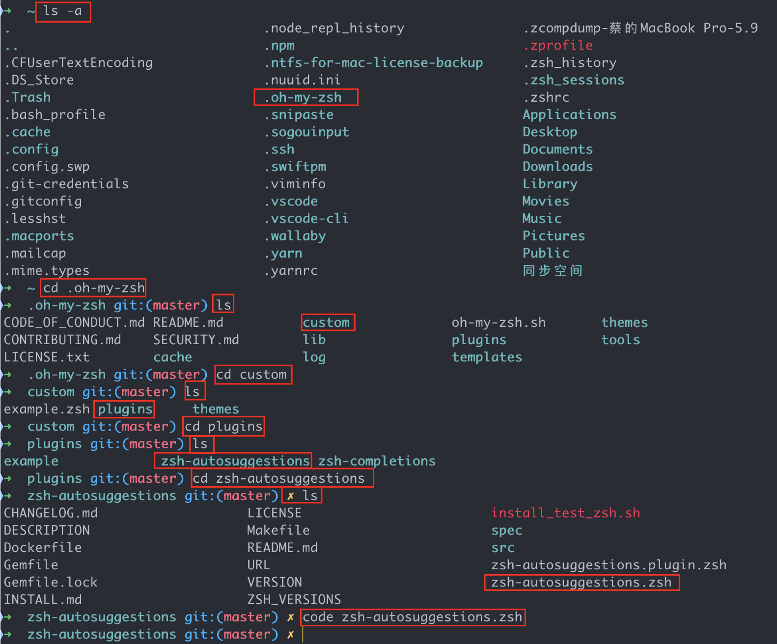 zsh