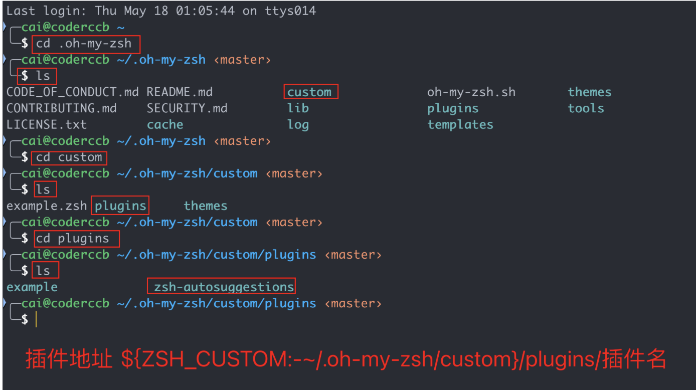 zsh